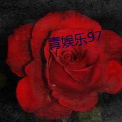青娱乐97
