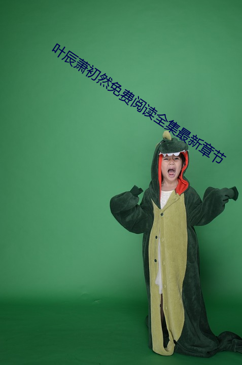 叶辰萧初然免费阅读全集最新章节