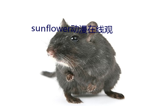 sunflower动漫在线观