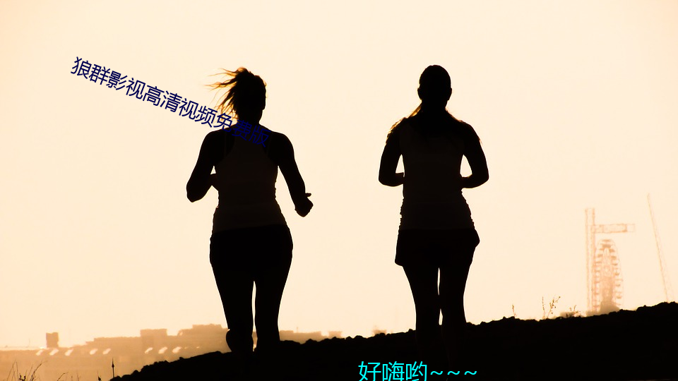 狼(狼)群影视高(高)清视频(頻)免费版