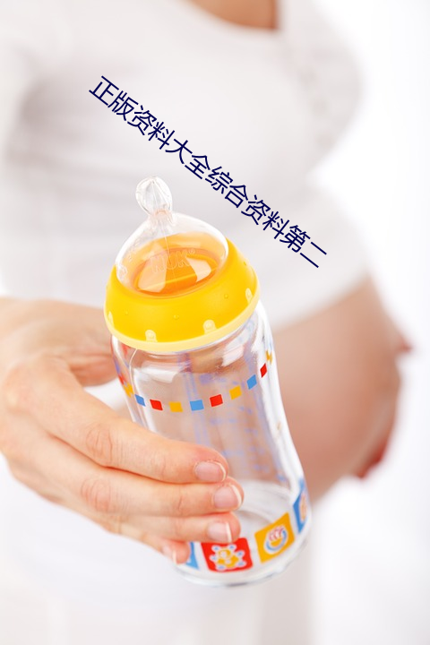正版資料大全綜合資料第二