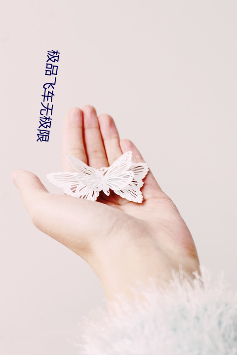極品飛車無極限