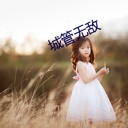城管无敌