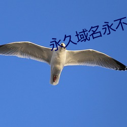 永久域(yù)名永不(bù)失效