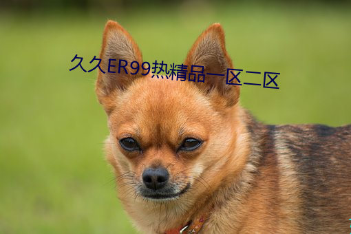 久(久)久er99热(熱)精品一(一)区二区(區)