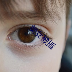 美女被插