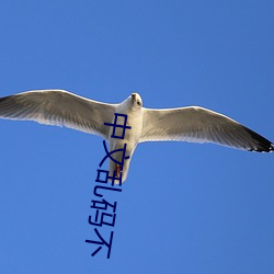 中文乱码不