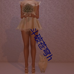 斗破(pò)苍穹h