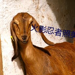 火(huǒ)影(yǐng)忍者照美冥被褥(rù)黄(huáng)漫