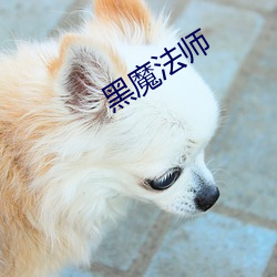 黑魔法师