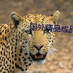 国外精(jīng)品成品人(rén)入(rù)口(kǒu)苹果