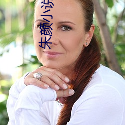朱颜小说