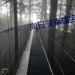 向日葵幸福宝凯发k8国际娱乐官网入口官网在线打开