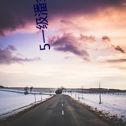 5一级(級)潘金莲大片