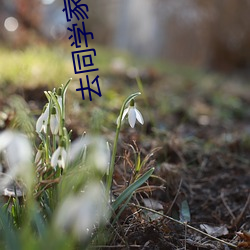 去同學家寫作業被他c
