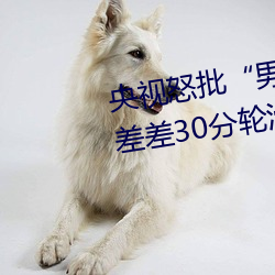 央视怒批“男(男)人和女(女)人在一(一)起(起)差差差30分(分)轮滑鞋”