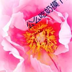 公么吃奶(奶)摸下面非常(常)好试看(看)