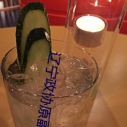 辽宁政协原副主席被决定逮