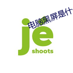 電腦黑屏是什麽原因