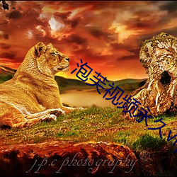 泡芙视频永(yǒng)久vip二维码
