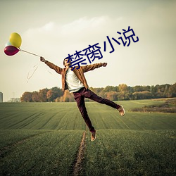 禁脔小说(shuō)