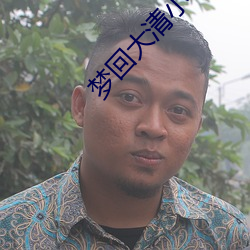 梦回大清小说