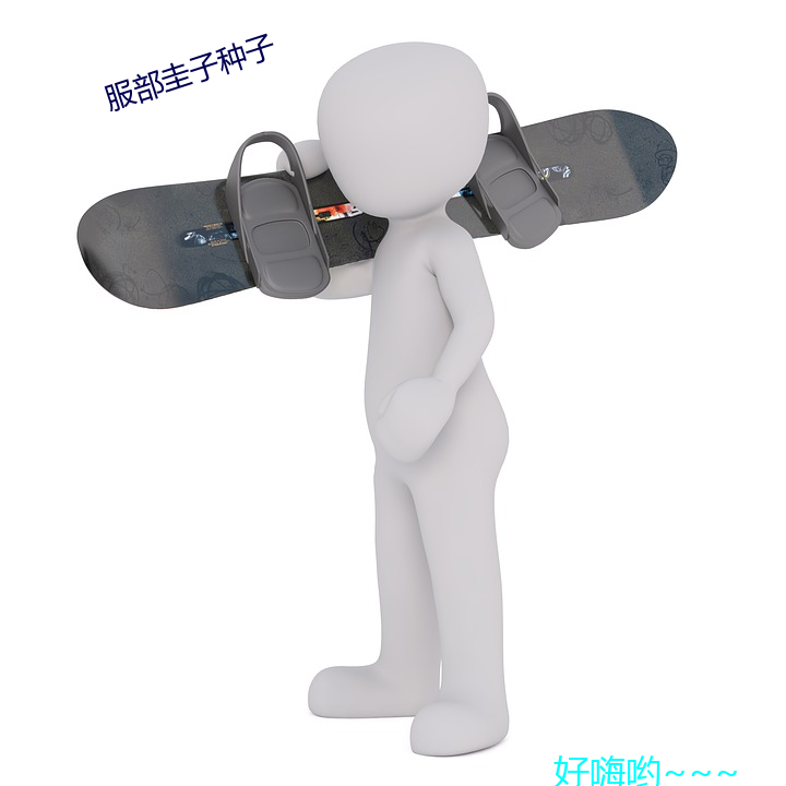 服部圭子种子