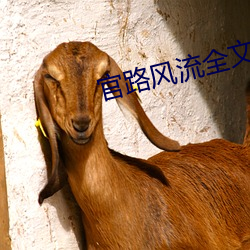官路風流全文閱讀