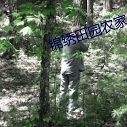 锦绣田园农家小地主