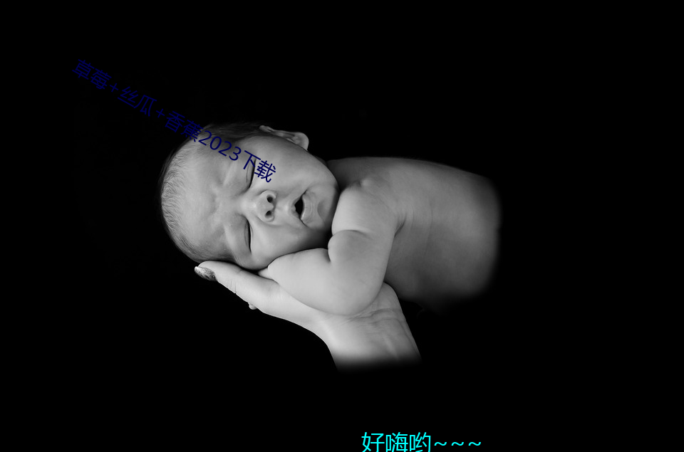 草莓 丝瓜 香蕉2023下载