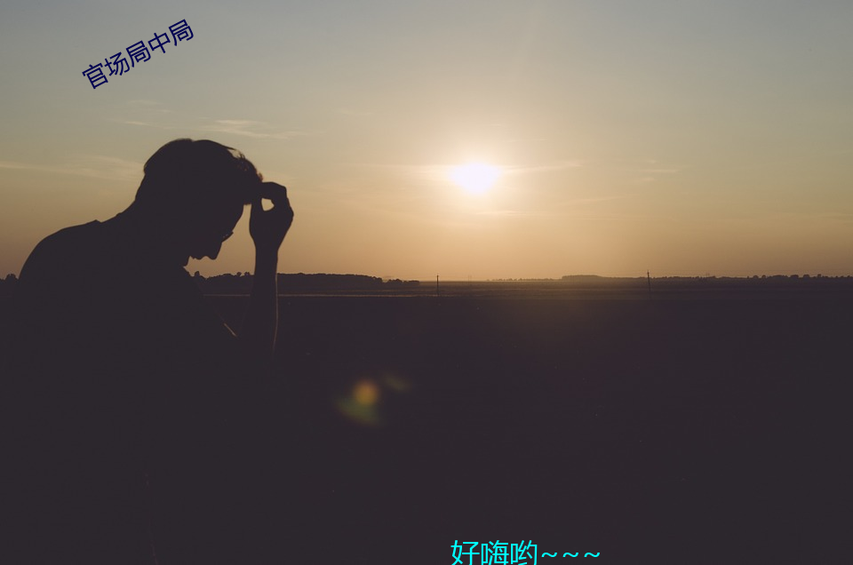 官场局中局(jú)