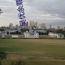 吴优余罪