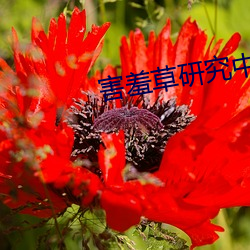 害羞草(cǎo)研(yán)究中心(xīn)入(rù)口