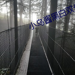 小烏醬黑白雙絲腳足在線看