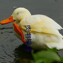 肉書排名