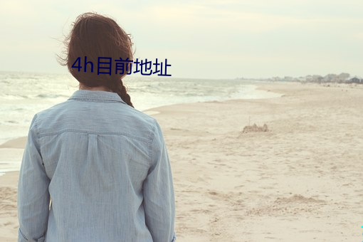 4h目前地址
