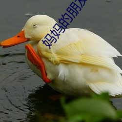 妈(媽)妈(媽)的朋(朋)友电影