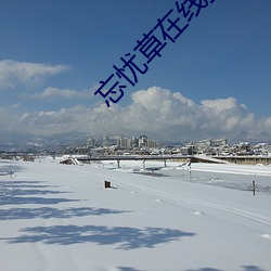忘憂草在線播放www日本韓