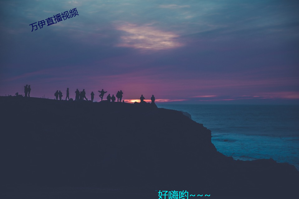 万伊(伊)直播视频