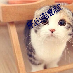 乐(樂)山电影(影)院(院)