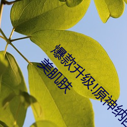 爆款升级!原神纳西妲乳液狂飙坦牛为你打造完美肌肤