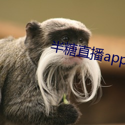 半糖直播app下載