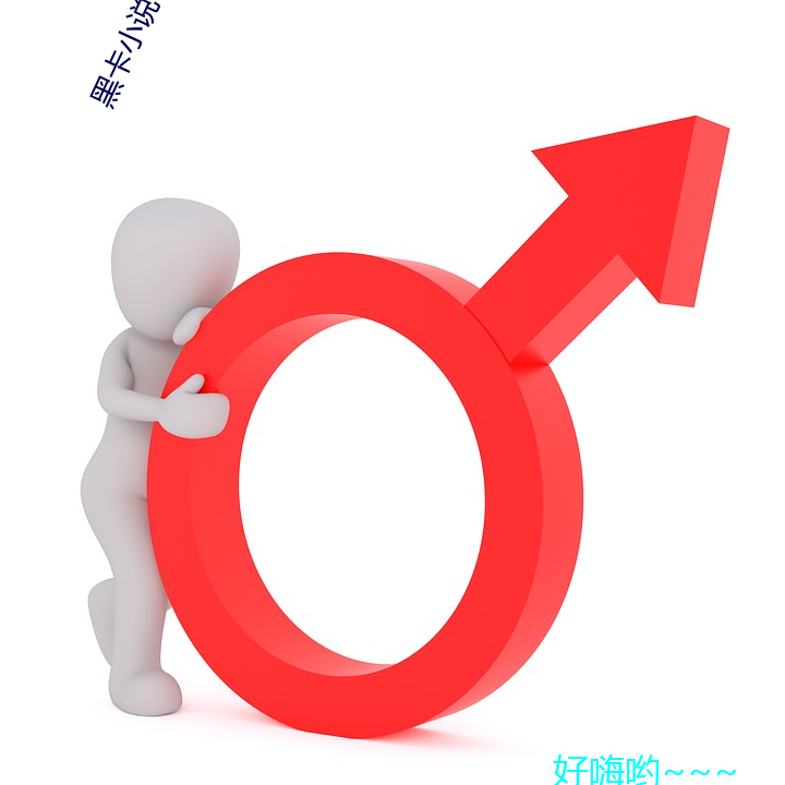 黑卡小說