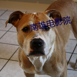 南(南)雄(雄)电影院(院)