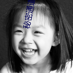 秘密通道入口自(自)动进入3秒v3.3.2