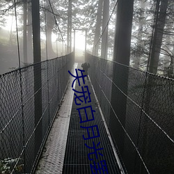 失宠白月光罢工了