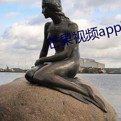 芒果视频app下载安装无限看