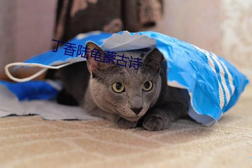 丁香陸龜蒙古詩