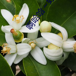 啊哈哈(哈)~好(好)长(長)~到(到)底了
