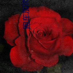 跑车加微信直播软件(jiàn)